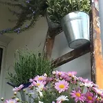 Apartment Wohnen